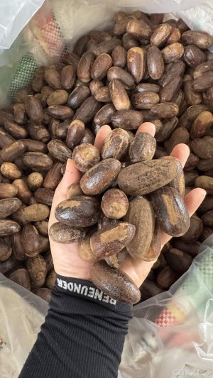 spice_6230006_fdc1cf1a_1.jpg