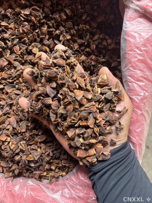 spice_6370317_c33fe6ef_1.jpg