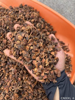 spice_6515980_8b5571d4_1.jpg