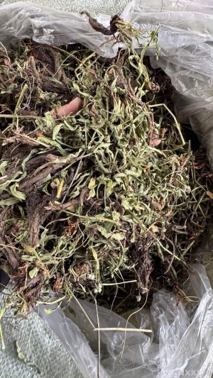 spice_6875014_03e63837_1.jpg