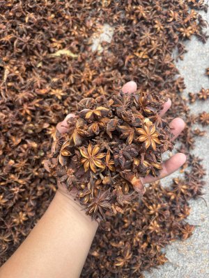 spice_6947942_cff92f0b_1.jpg
