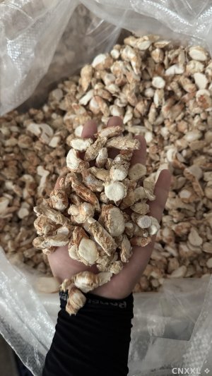 spice_6963582_0349bb48_1.jpg