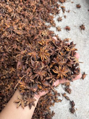 spice_7271185_8d87f637_1.jpg