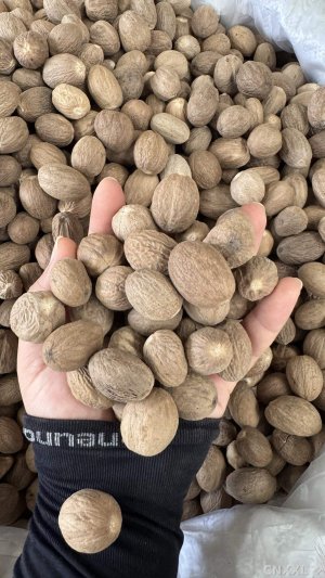 spice_7271200_1d0360e0_1.jpg
