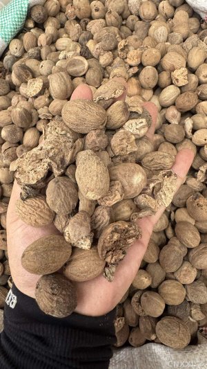 spice_8646_df5f06eb_1.jpg