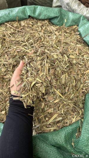 spice_9372_83d0810f_1.jpg