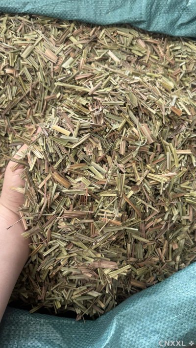 spice_102_18c6ace7_3.jpg