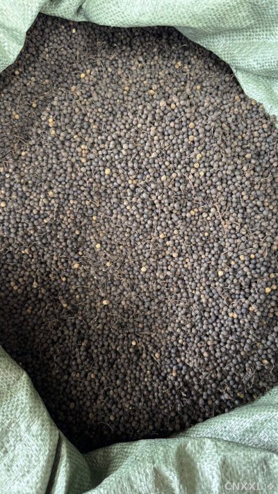 spice_104_2966ada8_3.jpg
