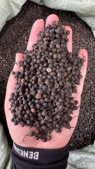 spice_104_fed39f82_2.jpg
