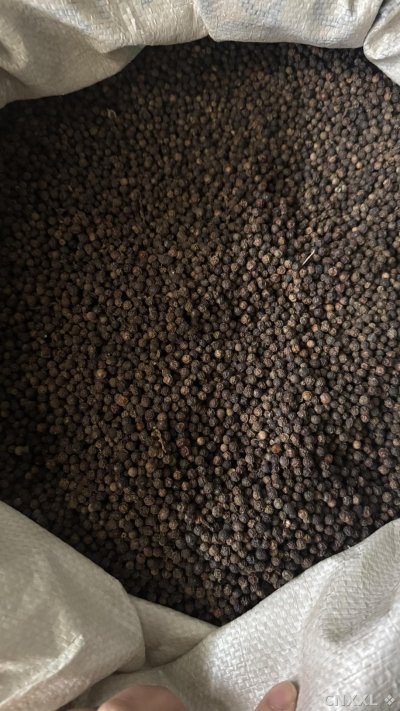 spice_106_5b92b292_3.jpg
