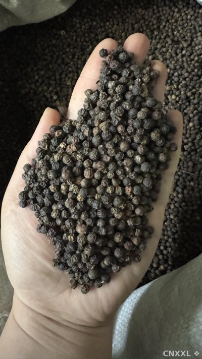 spice_106_b7f54b28_2.jpg