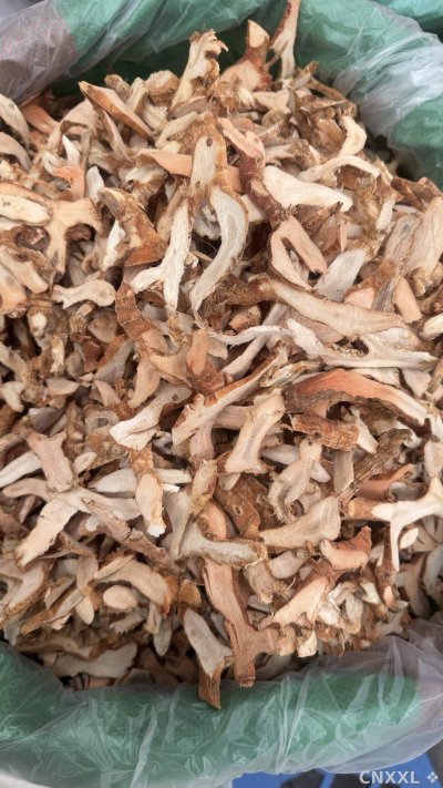 spice_111_e9ad6813_3.jpg