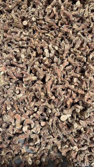 spice_1230_2c449c09_3.jpg