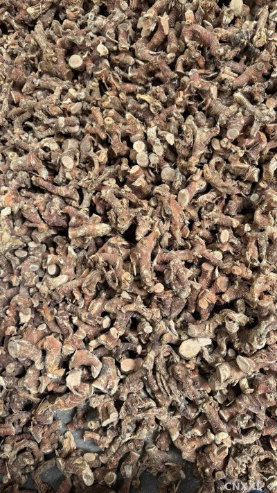 spice_1230_9878b6ec_2.jpg