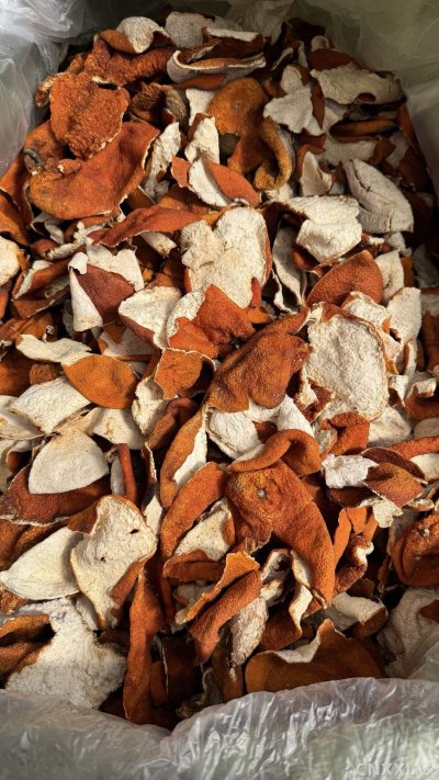 spice_123_204c1575_3.jpg