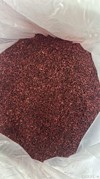 spice_125_34ad0b0a_3.jpg