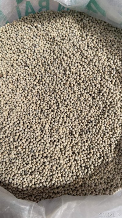 spice_1487_36581160_3.jpg