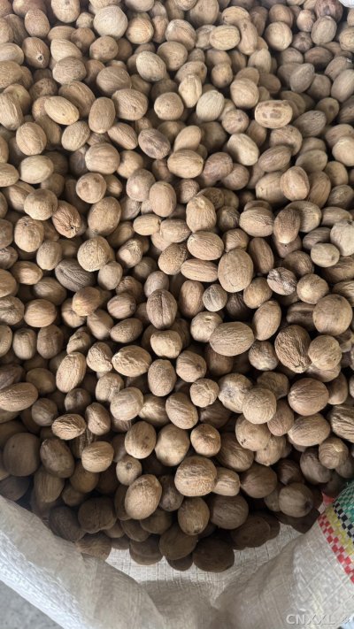 spice_1491_33c039c6_3.jpg