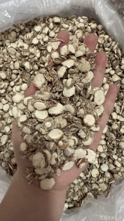 spice_1494_ec7cb078_1.jpg