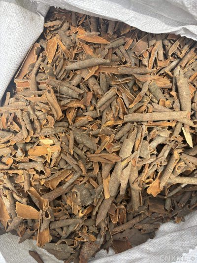 spice_1495_e2ca434b_3.jpg