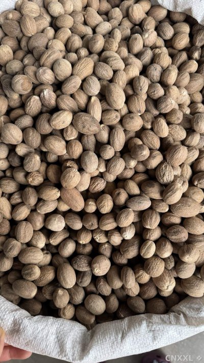 spice_14_dfccc484_2.jpg