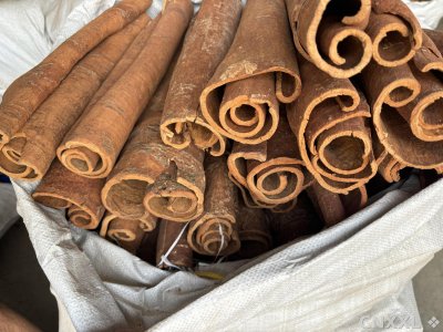 spice_1504_5dc565b6_3.jpg