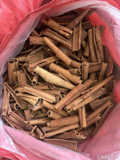spice_1513_c335b6c6_3.jpg