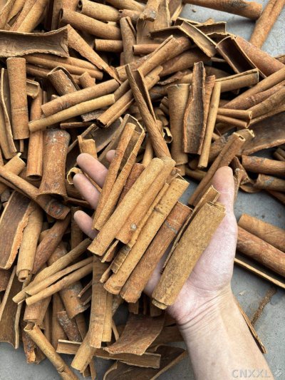 spice_1515_0cca46da_3.jpg