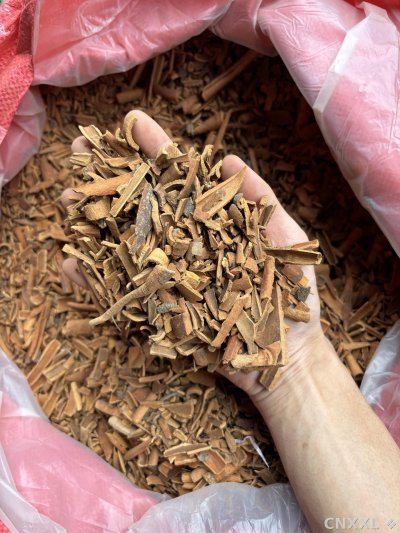 spice_1517_bfe6c152_2.jpg