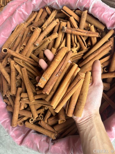 spice_1523_efe5fcdf_3.jpg