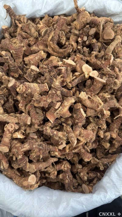 spice_155_496a3de8_3.jpg