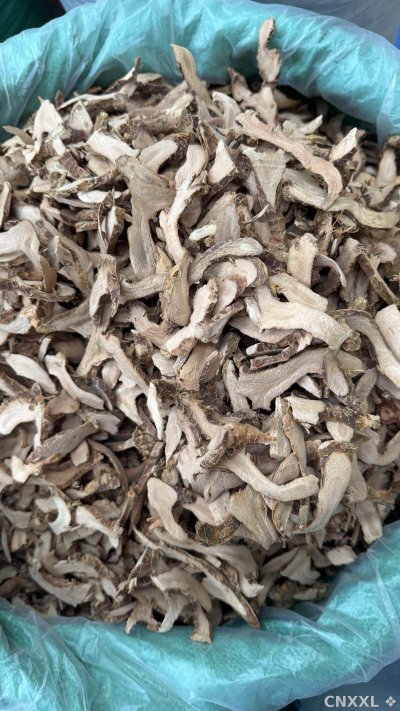 spice_158_cc17f79e_3.jpg