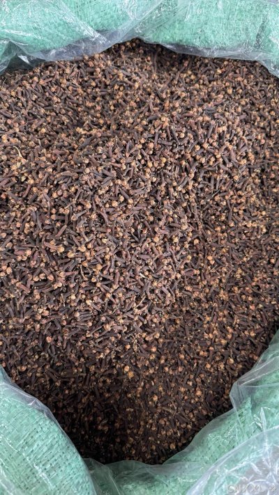 spice_16_582db620_3.jpg
