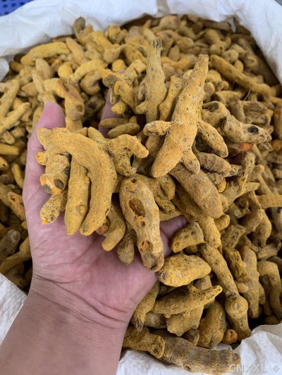spice_170_a060a336_2.jpg