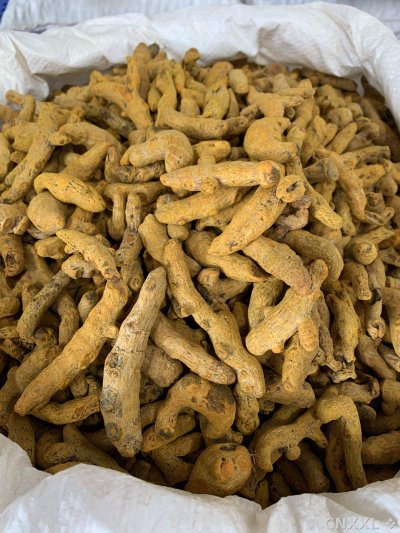 spice_170_b84c36a8_3.jpg