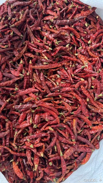 spice_171_f78004c7_2.jpg