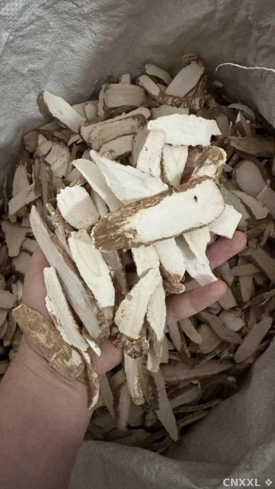 spice_174_2e925090_1.jpg