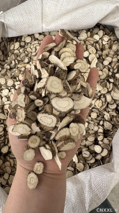 spice_181_c6fc19f2_2.jpg