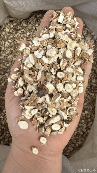 spice_185_331ca85d_1.jpg