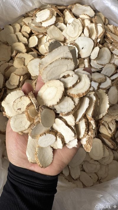 spice_187_3b60471e_1.jpg