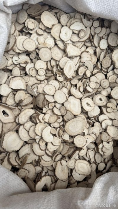 spice_188_02b41cde_3.jpg