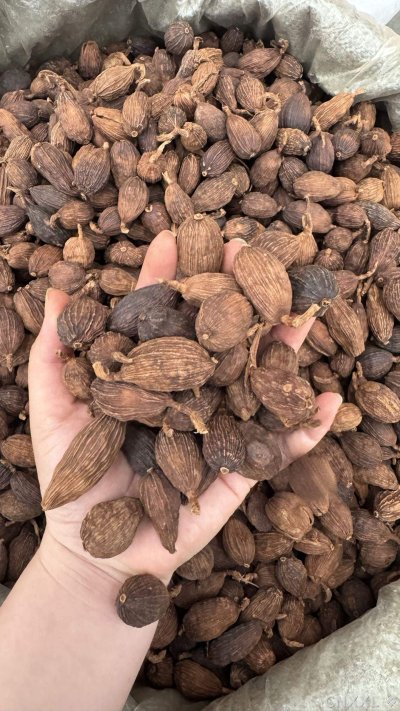 spice_18_d219f69c_2.jpg