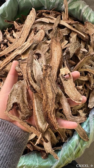 spice_192_5f939554_1.jpg