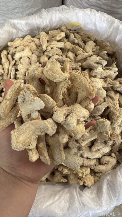 spice_194_28fd27b0_2.jpg