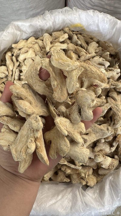 spice_194_fd90ceca_1.jpg