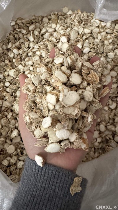 spice_1_13c9d6c9_2.jpg