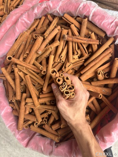 spice_2781_e3d1bc3a_1.jpg