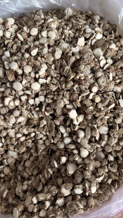 spice_2_6c518409_2.jpg