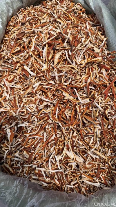 spice_331_b8564fb2_3.jpg