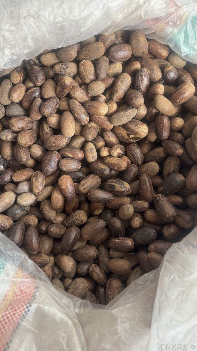 spice_348_e92bf5a1_2.jpg